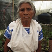 Tenango _de_Flores_huauchinango_09